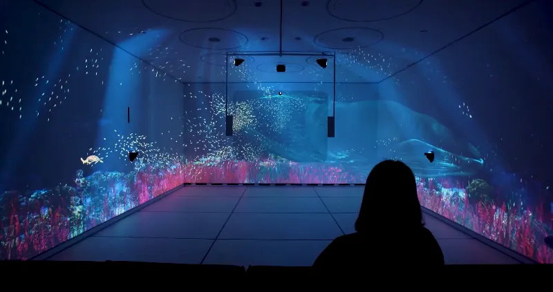 Sala inmersiva con proyección 3D submarina con ballena y peces de Barceló Hotel de ALSAMANELA